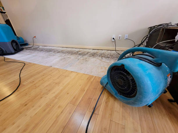 Professional Water Extraction technician working in Linden, NJ